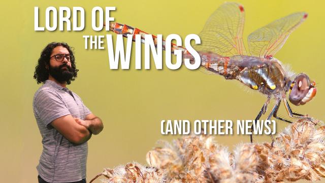 4 awesome discoveries you probably didn't hear about this week -- Episode 15