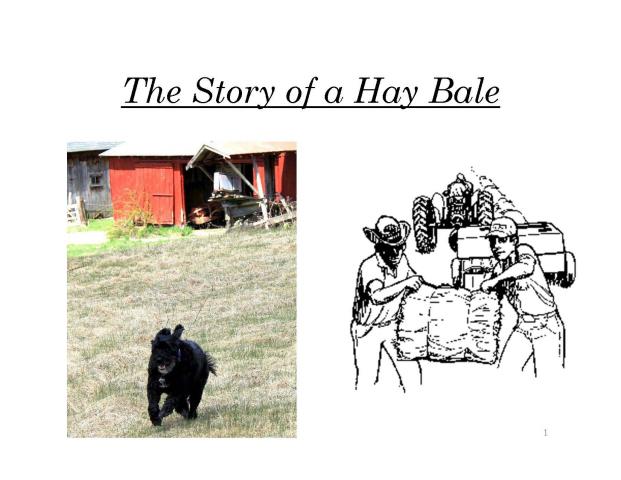 Farm Lesson: The Story of a Hay Bale