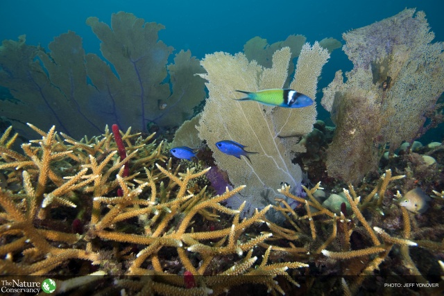 The Need Is Mutual: The Importance of Biological Interactions