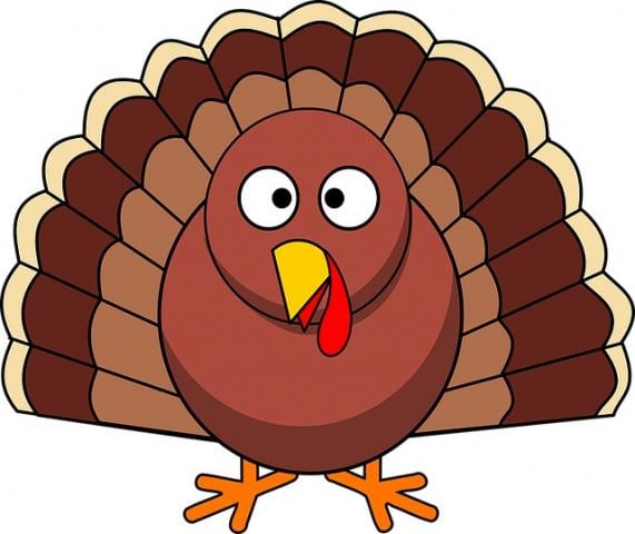 Label the Turkey - Thanksgiving Activity