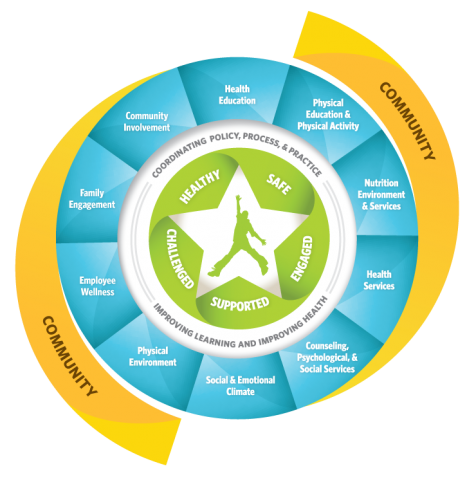 Whole School Efforts to Meet the Needs of Every Student