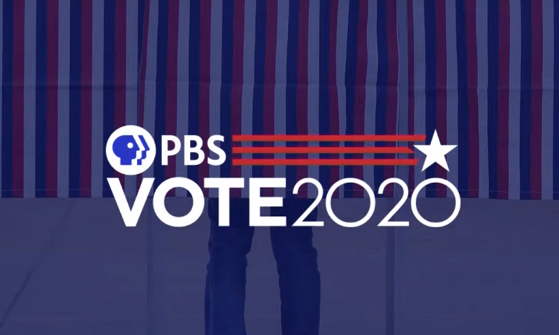 Voter Decision-Making in the Democratic Primaries